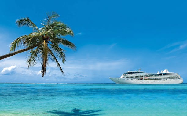 View of cruise ship from beach with palm tree nearby.