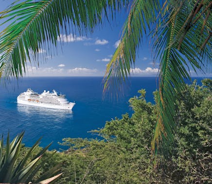 View of cruise ship from shore with palm trees in foreground