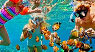 People snorkeling near fish
