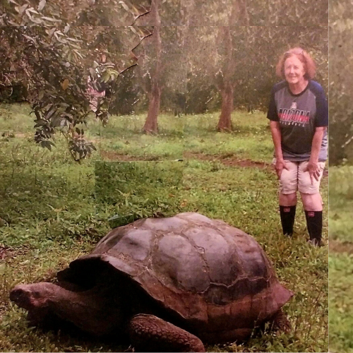 Travel Advisor Profile Picture