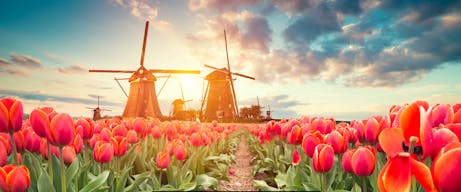Scenic view from 9-night Tulips & Windmills Cruise