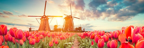 Scenic view from 9-night Tulips & Windmills Cruise
