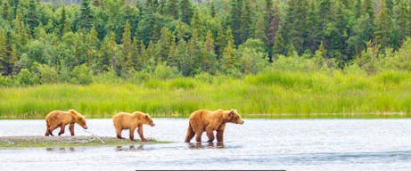 Scenic view from 7-night Alaska Cruise