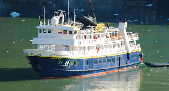 National Geographic Sea Lion