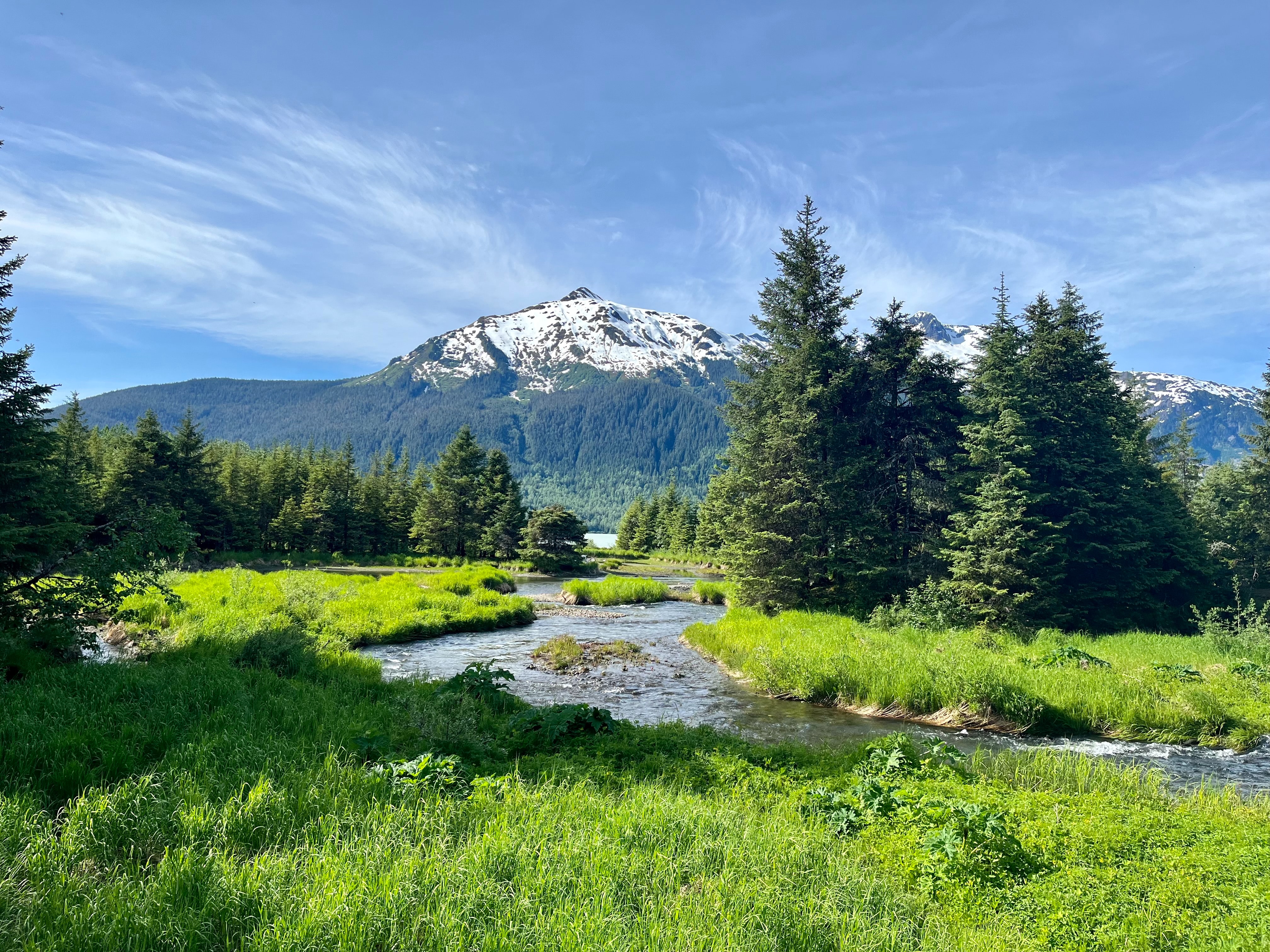 valley full of flowers
