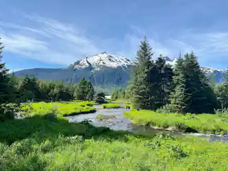 valley full of flowers