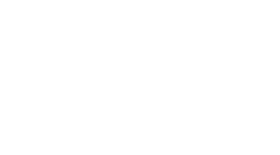 Viking Logo