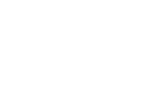 Viking Logo