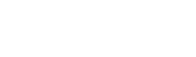 Virgin Voyages Logo