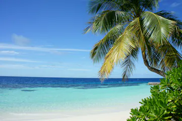 Caribbean Beach