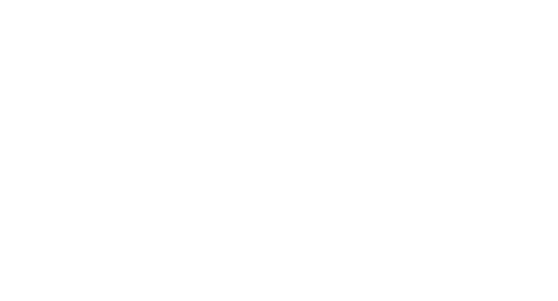 Hurtigruten Logo