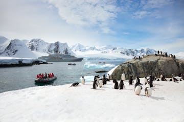 expedition with silversea in antarctica