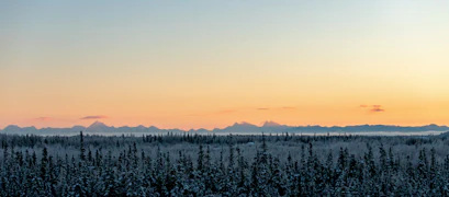 Alaska 