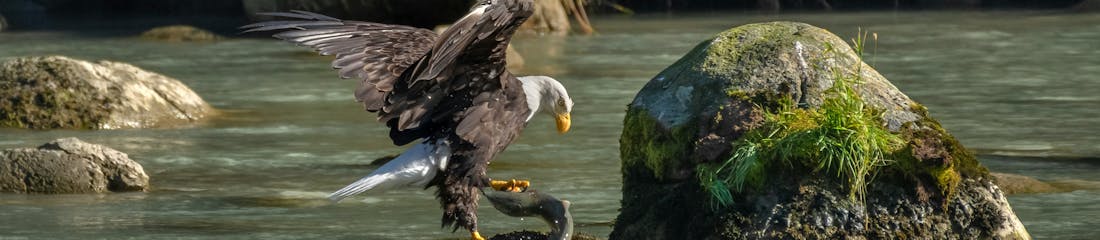 Alaska