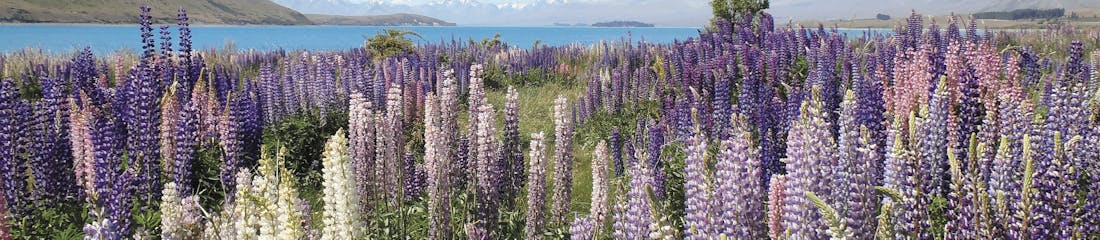 Alaska