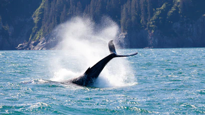 Alaska 