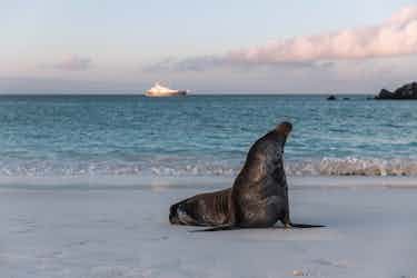 aqua mare ship in galapagos