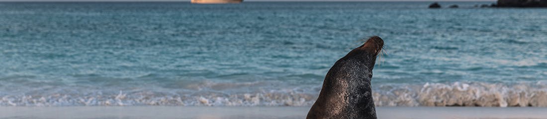 aqua mare ship in galapagos
