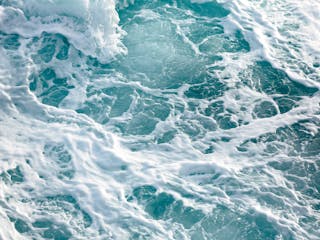 Ocean