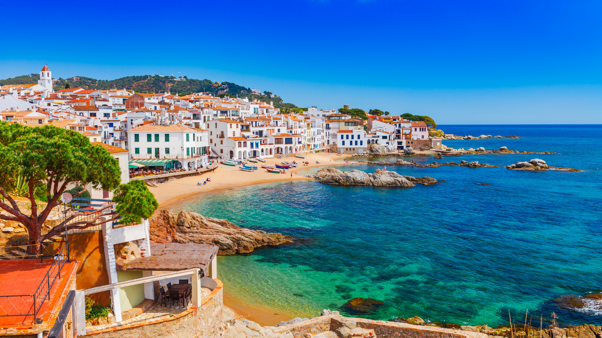 Mediterranean