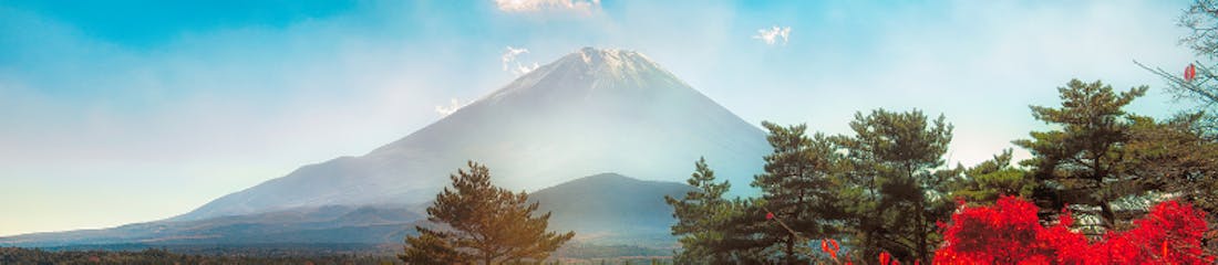 Mt Fuji