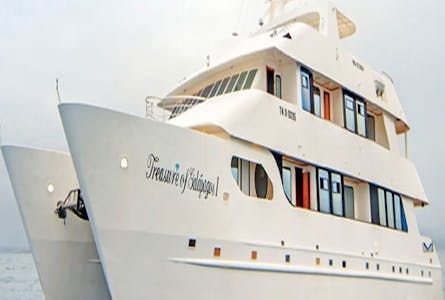 Treasure of Galapagos