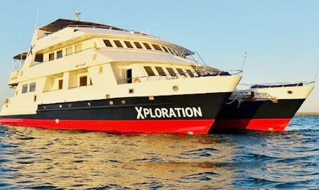 Celebrity Xploration