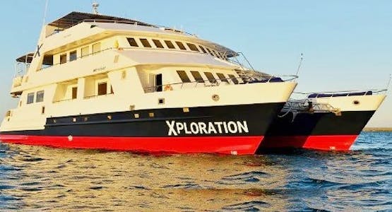 Celebrity Xploration