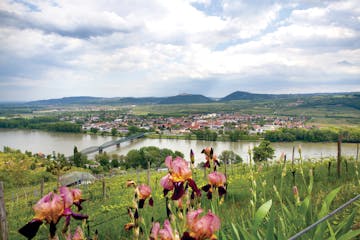 wachau valley in austria