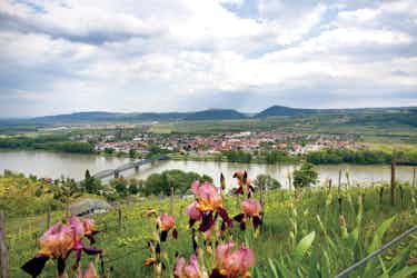 wachau valley in austria