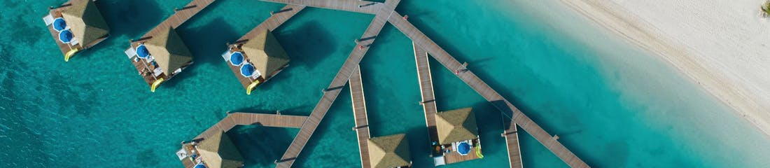 Royal Caribbean