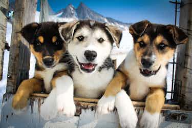Alaska 