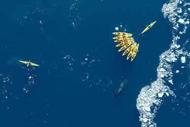 seabourn-expedition-kayakers-antarctica
