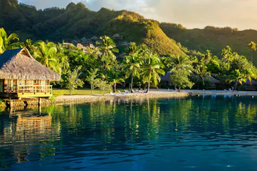Beach with palm trees and mountain in background