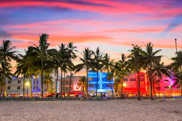 Hotels near beach and palmtrees at sunset