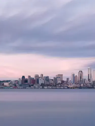 City skyline viewed from across a harbour
