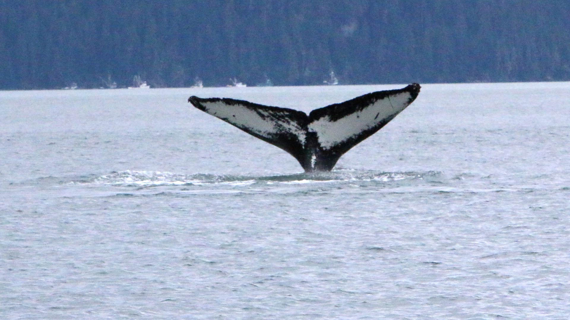 Alaska 