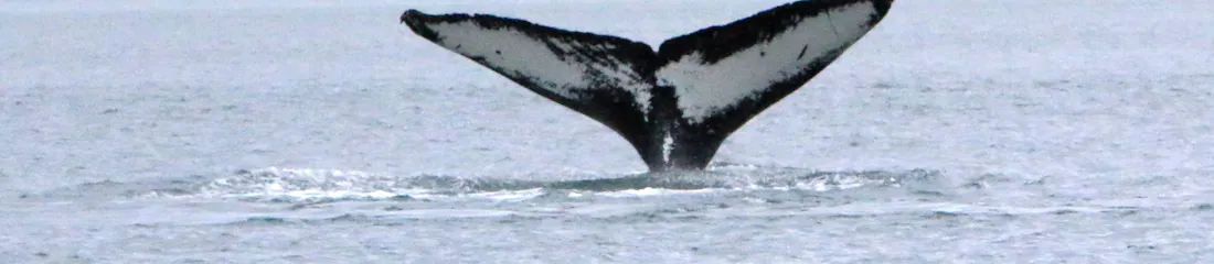 Alaska