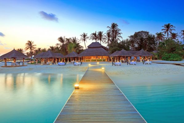 tropics