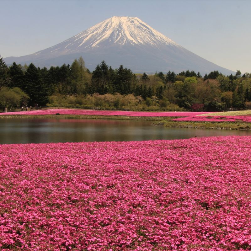 Japan