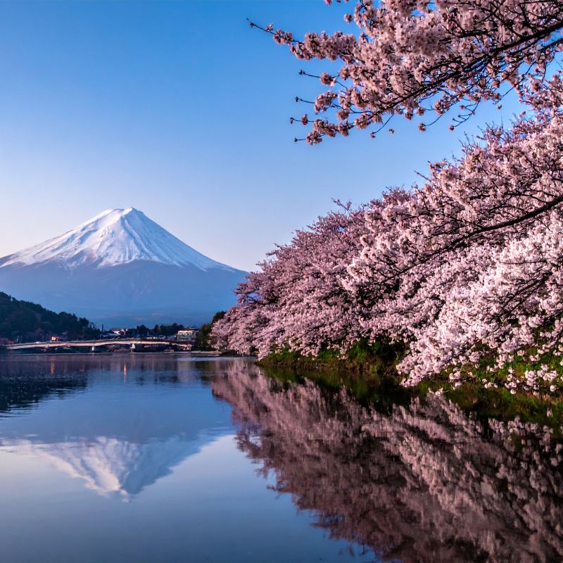Japan