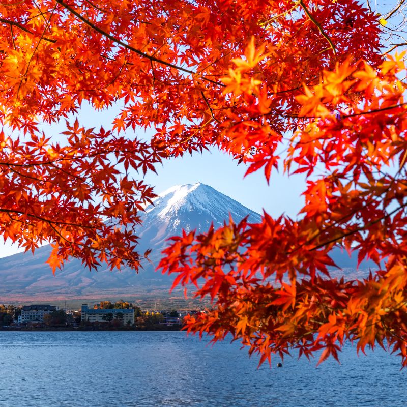 Japan