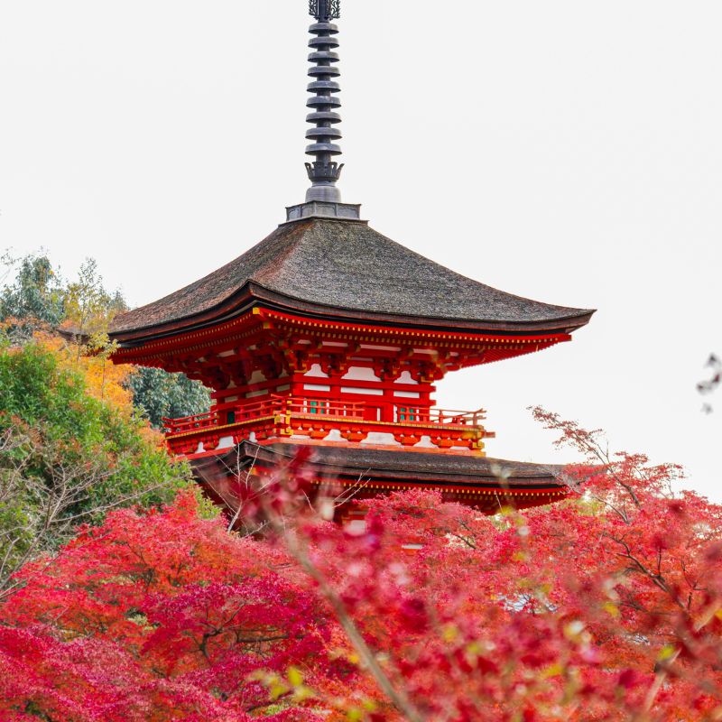 Japan