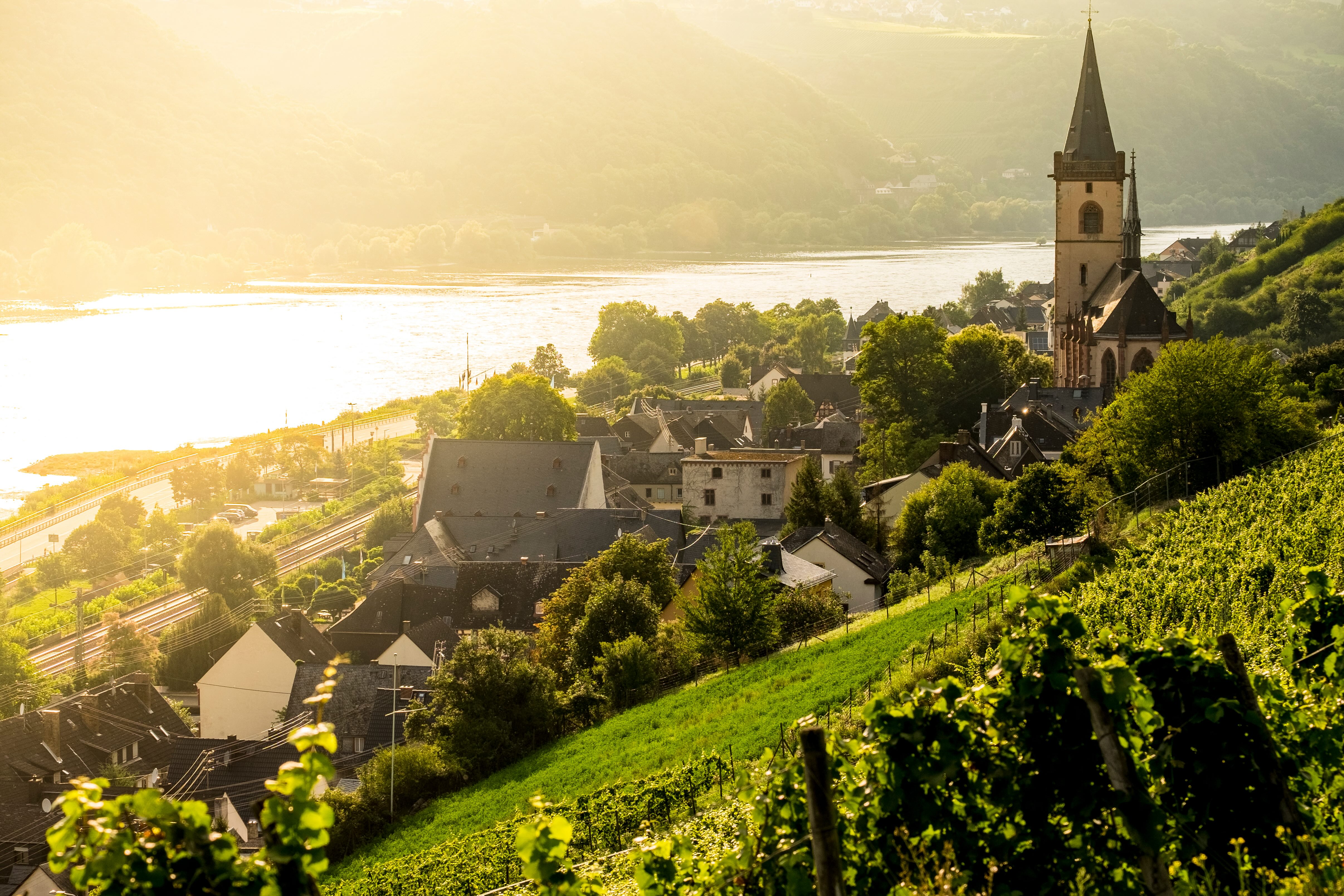 Riverside village with church steeple, vineyards on hillside, houses and railway by golden river