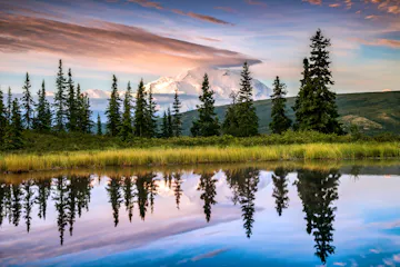 Snow-capped mountain behind spruce trees and grassy shore reflected in a calm pond at sunrise.