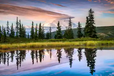 Snow-capped mountain behind spruce trees and grassy shore reflected in a calm pond at sunrise.