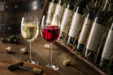 Wine Glasses