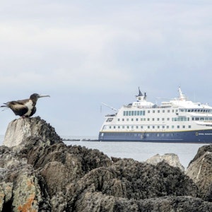 Seabird perched on jagged rocks at left, large passenger ship anchored offshore at right