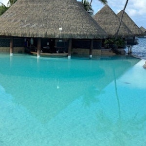 Turquoise infinity pool with swim-up thatched-roof bungalows and leaning palm trees