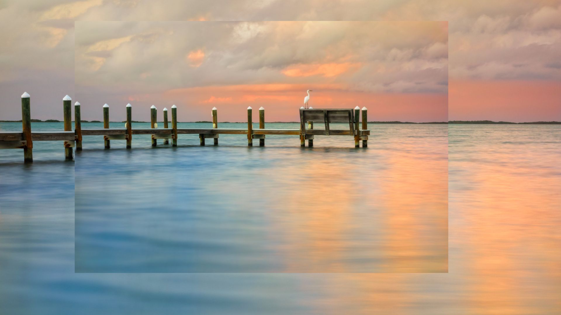 Wooden pier at sunset with white egret perched on bench over water